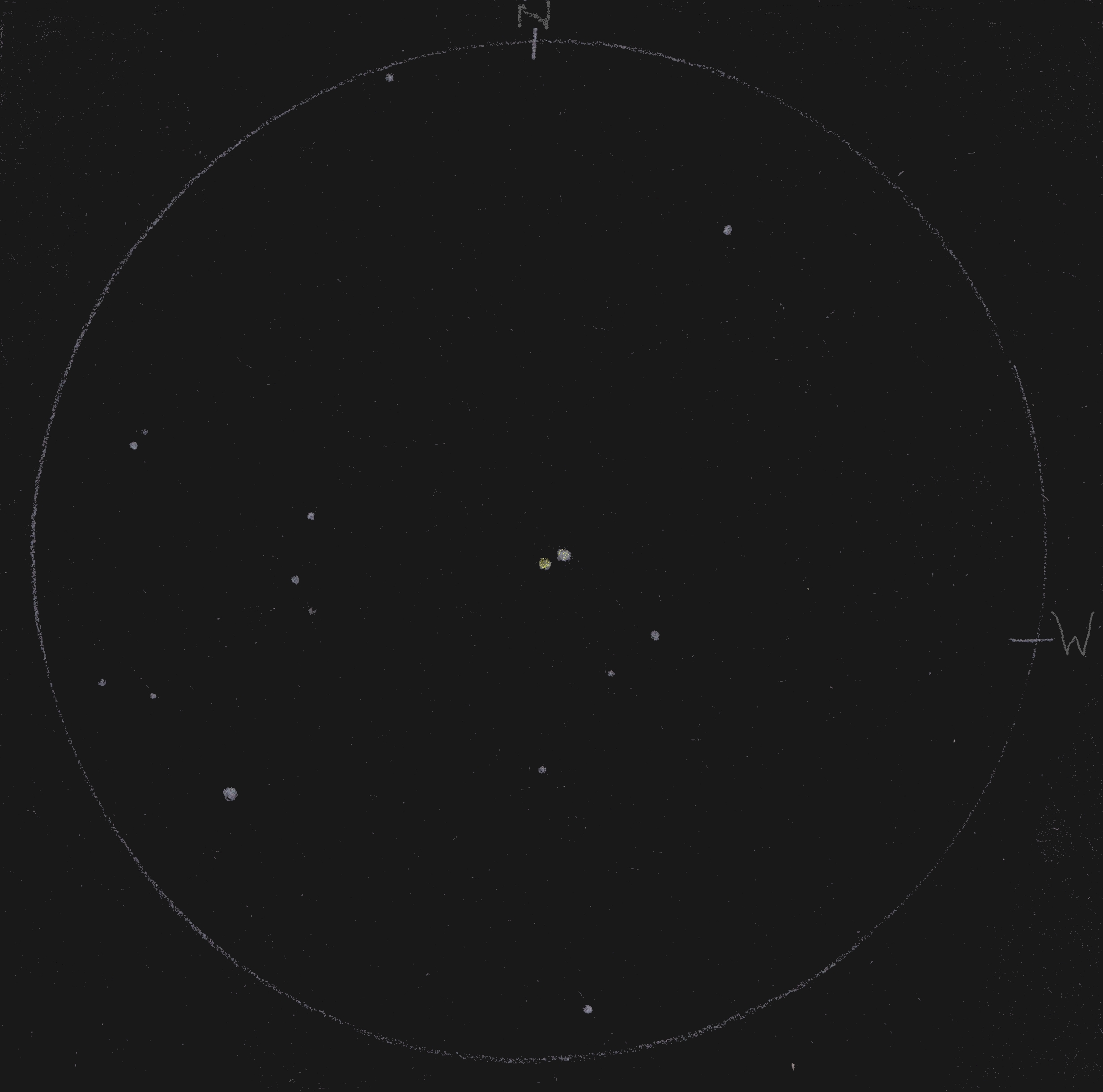 Abbildung 1 - Gamma Leonis